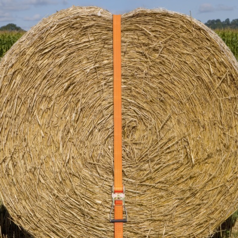 Chingă de ancoraj cu clichet, portocaliu, 4000 kg, 50 mm × 6 m