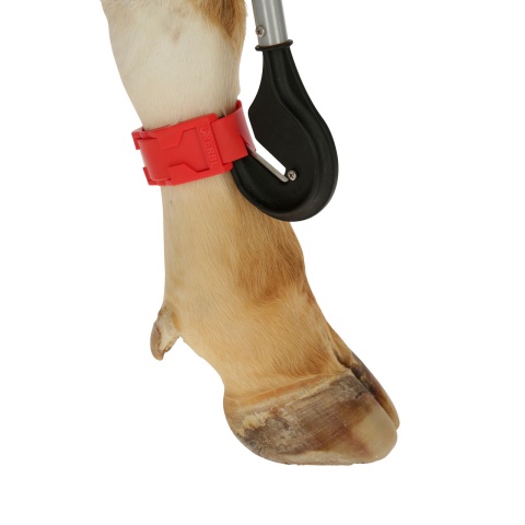 Cuțit de tăiat bandaje, 80 cm