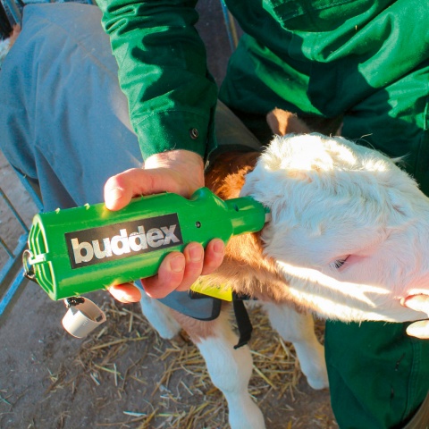 Ecornator cu acumulator, Buddex