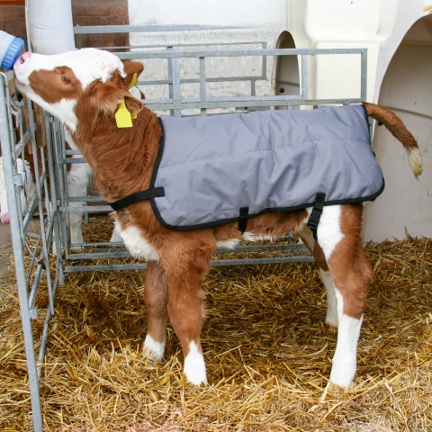 Pătură pentru viței, impermeabilă, gri, 70 × 70 cm