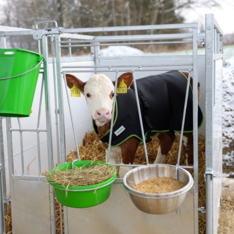 Pătură pentru viței, premium, termoizolantă, impermeabilă, negru, 70 × 70 cm