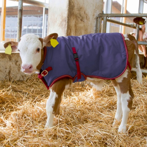 Pătură pentru viței, impermeabilă, ThermoPlus, albastru închis, 80 × 70 cm