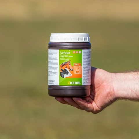 Pastă de gudron de fag, TarPaste, 1 kg