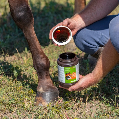 Pastă de gudron de fag, TarPaste, 1 kg