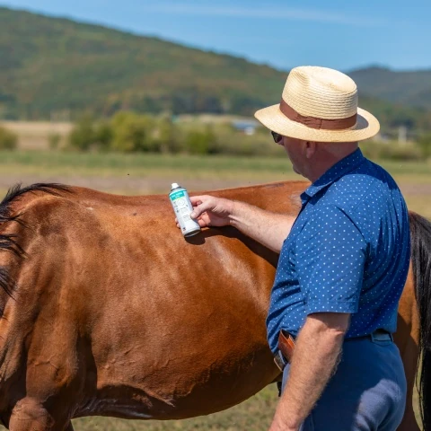Spray de oxid de zinc pentru facilitarea regenerării naturale a pielii animalelor, 200 ml