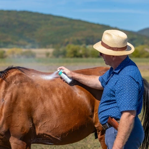 Spray de oxid de zinc pentru facilitarea regenerării naturale a pielii animalelor, 200 ml