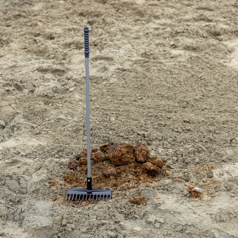 Greblă pentru curățare bălegar, Mistboy, negru, 75 cm