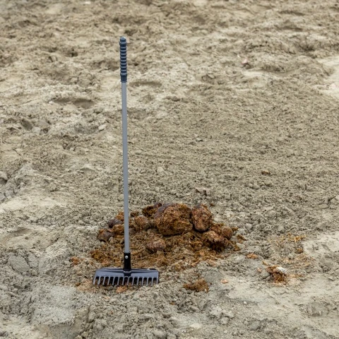Greblă pentru curățare bălegar, Mistboy, negru, 75 cm