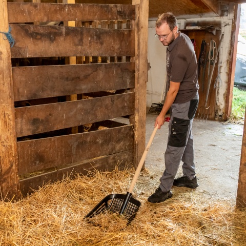 Furcă pentru gunoi de grajd, negru