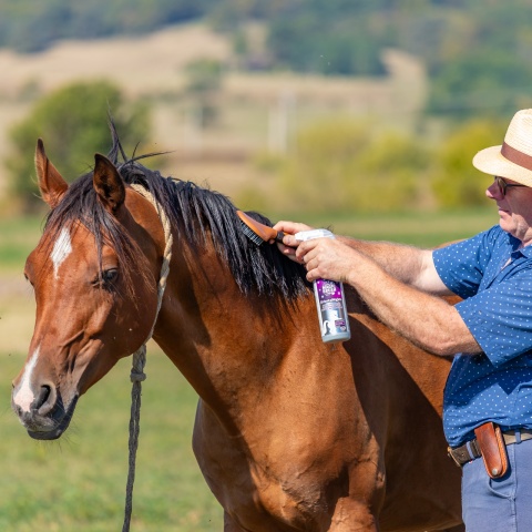 Spray pentru îngrijirea coamei, aromă OrientalNights, MagicBrush, 500 ml