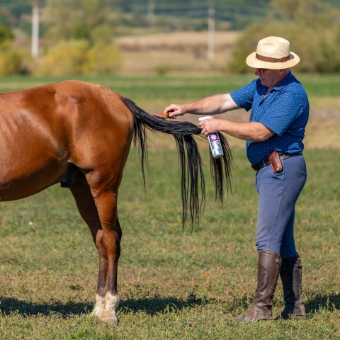 Spray pentru îngrijirea coamei, aromă OrientalNights, MagicBrush, 500 ml