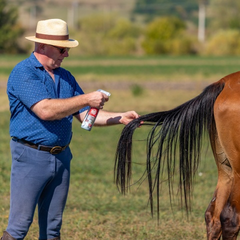 Spray pentru îngrijirea coamei, aromă FrenchKiss, MagicBrush, 500 ml