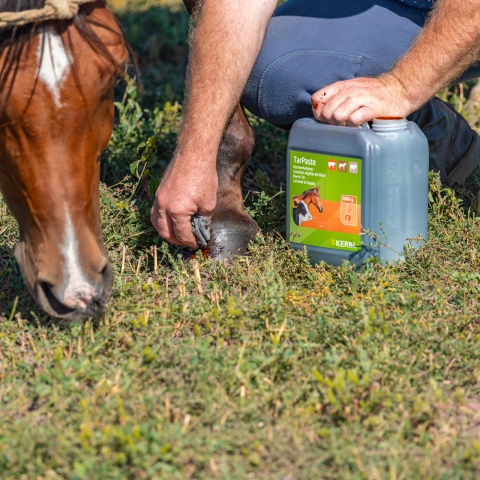 Pastă de gudron de fag, TarPaste, 5 kg