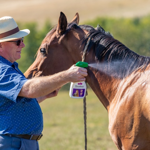 Spray împotriva muștelor, CIT MuscaBlock, 500 ml