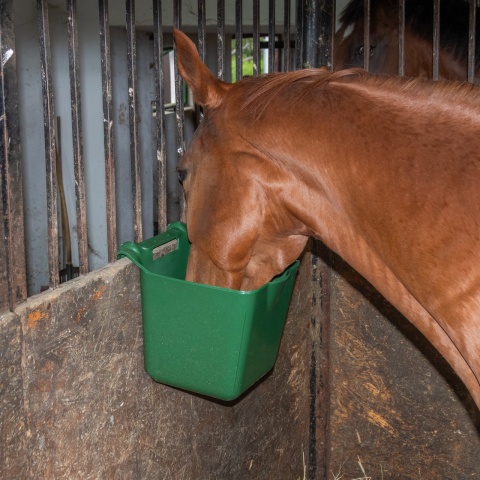 Găleată de hrănire, cu suport pentru suspendare, formă pătrată, verde închis, 13 litri