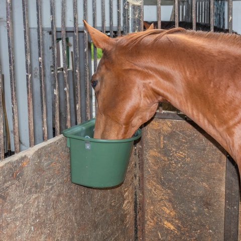 Găleată de hrănire pentru cabaline, cu dispozitiv de fixare și mâner, verde închis, 12 litri