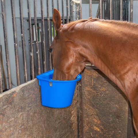 Găleată de hrănire pentru cabaline, cu dispozitiv de fixare și mâner, albastru regal, 12 litri