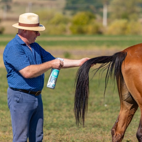 Spray pentru lustruirea părului, MagicBrush Manecare, 1000 ml