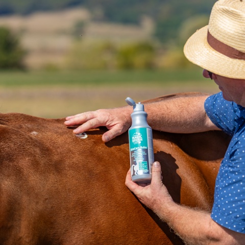 Balsam pentru cai, MagicBrush, 500 ml