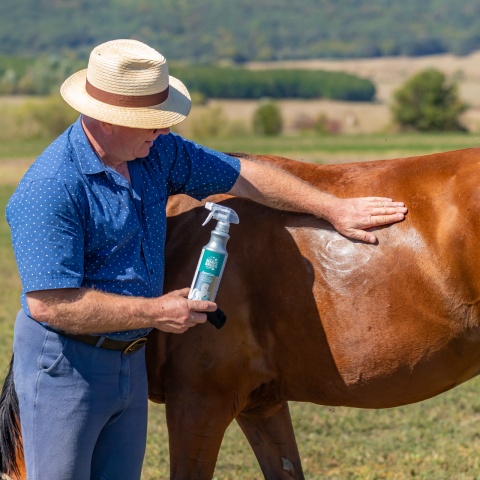 Spray de curățare pentru cai, MagicBrush, 500 ml