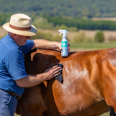 Spray de curățare pentru cai, MagicBrush, 500 ml