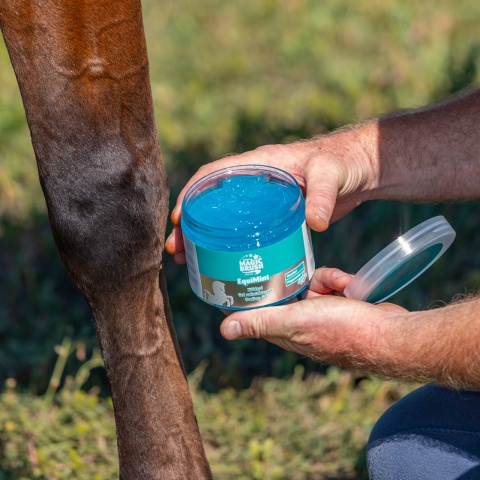 Gel pentru cai, MagicBrush Equimint, 500 ml