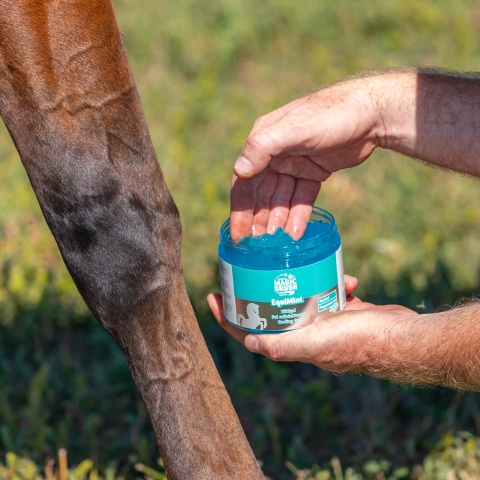 Gel pentru cai, MagicBrush Equimint, 500 ml