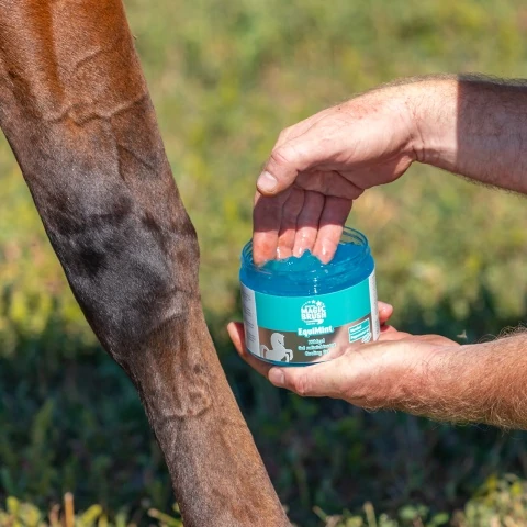 Gel pentru cai, MagicBrush Equimint, 500 ml