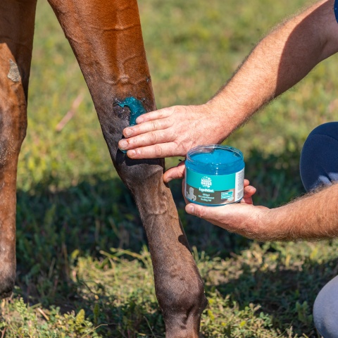 Gel pentru cai, MagicBrush Equimint, 500 ml