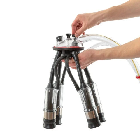 Grup de muls pentru vaci, 240 cm³