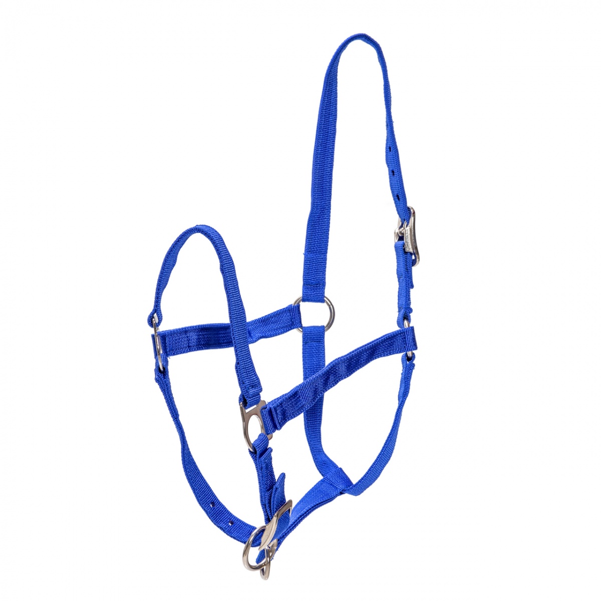 Căpăstru pentru cai, vaci și tauri, albastru