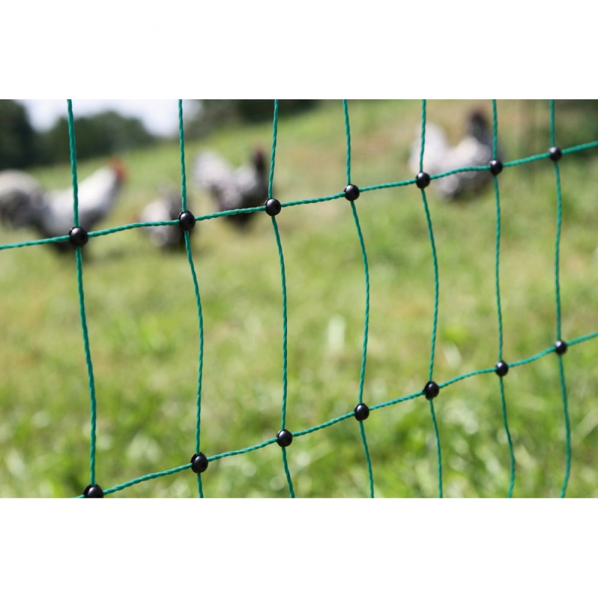Plasă gard electric pentru iepuri, 50 m × 65 cm
