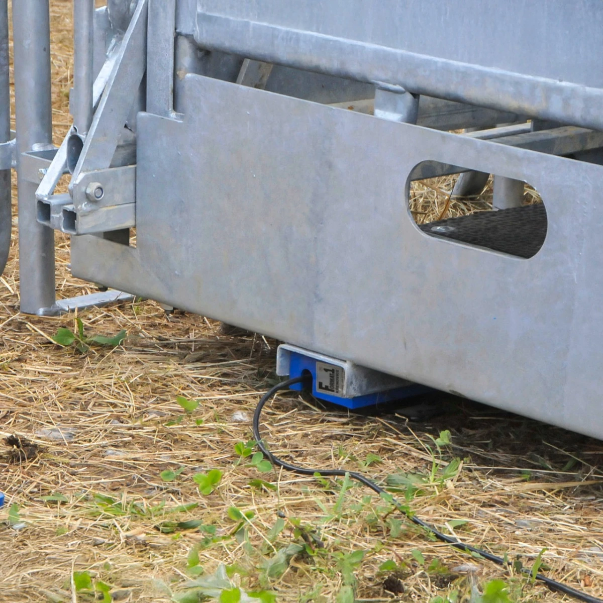 Cântar pentru animale, AniScale, până la 1500 kg