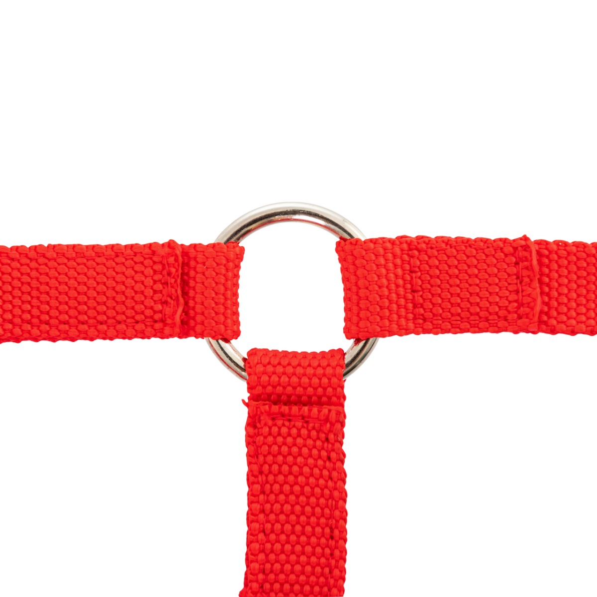 Căpăstru pentru alpaca, roșu