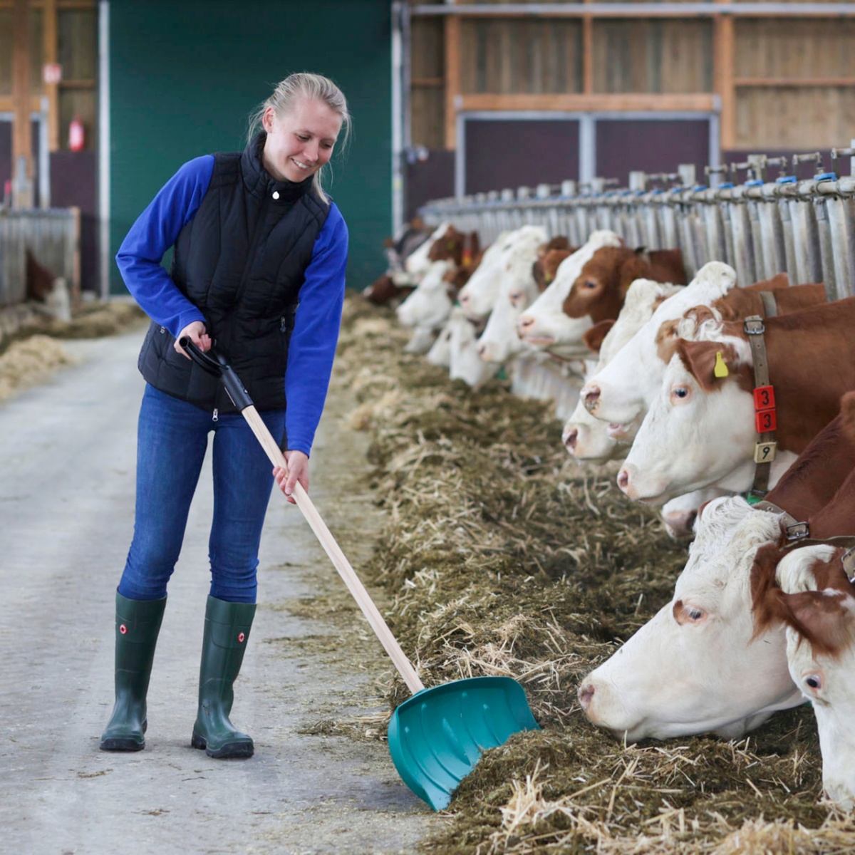 Lopată pentru manipularea furajelor, fără coadă, 65,5 × 27 cm