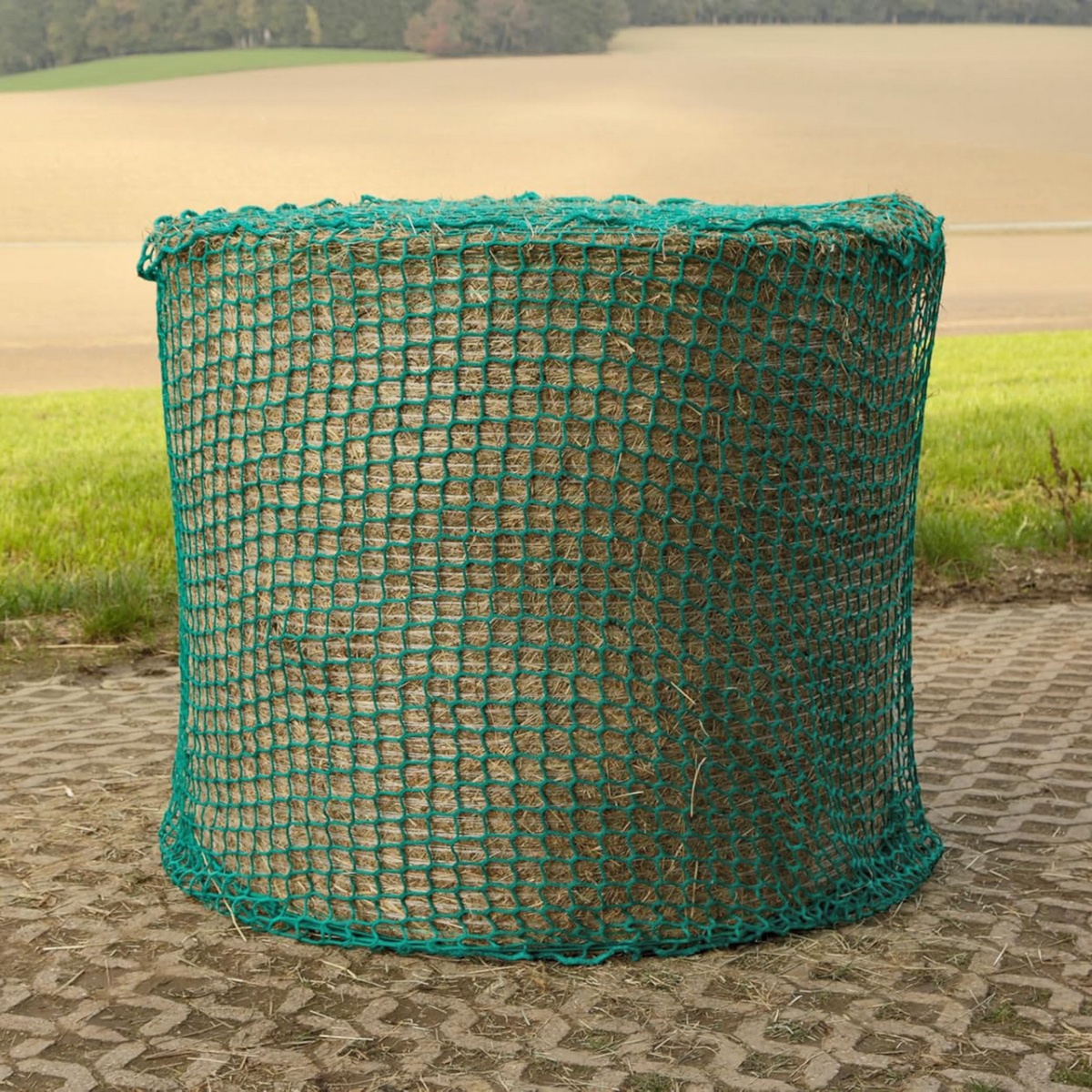 Plasă de hrănire pentru cai, 150 × 150 cm