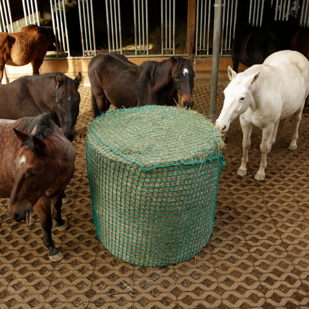 Plasă de hrănire pentru cai, 150 × 150 cm