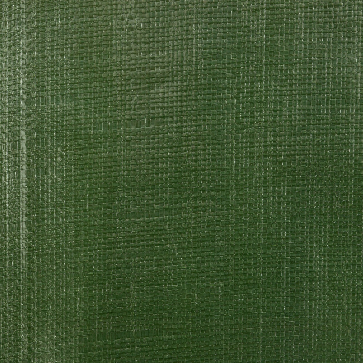 Prelată de protecție, PolyGuard, 210 g/m², 8 × 6 m