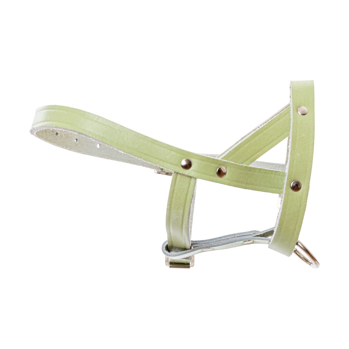 Căpăstru din piele pentru oi și berbeci, reglabil