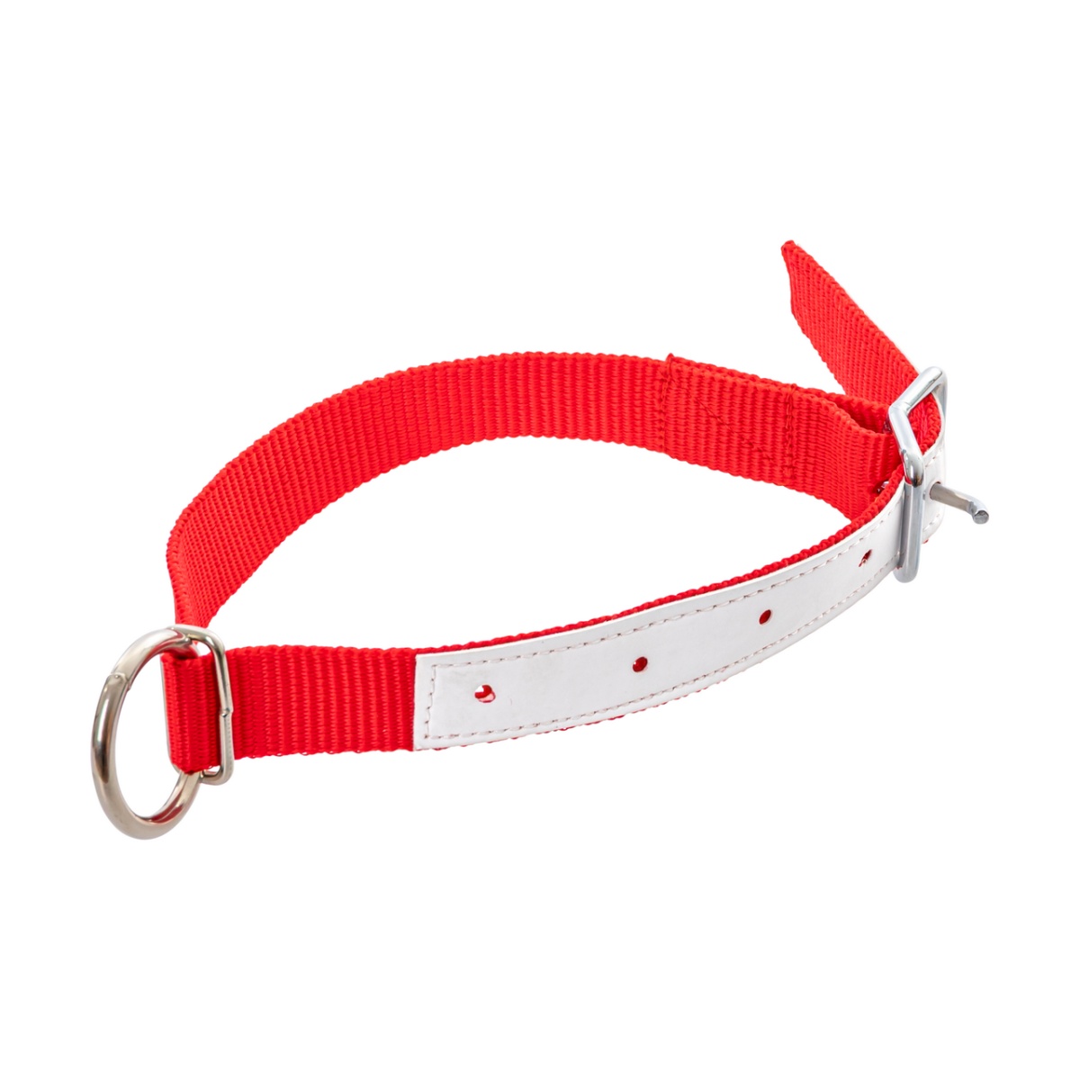Colier pentru oi, roșu, 60 cm
