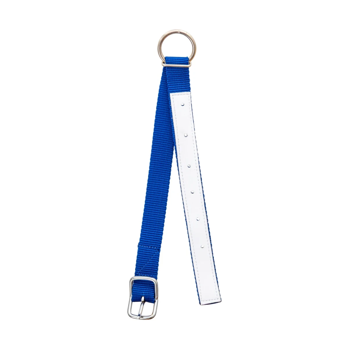 Colier pentru oi, albastru, 60 cm :: Albastru