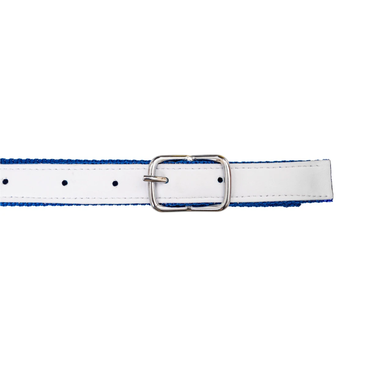 Colier pentru oi, albastru, 60 cm :: Albastru