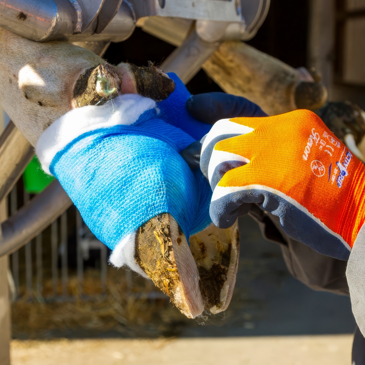 Bandaj pentru copite, Equilastic, albastru, 450 × 10 cm