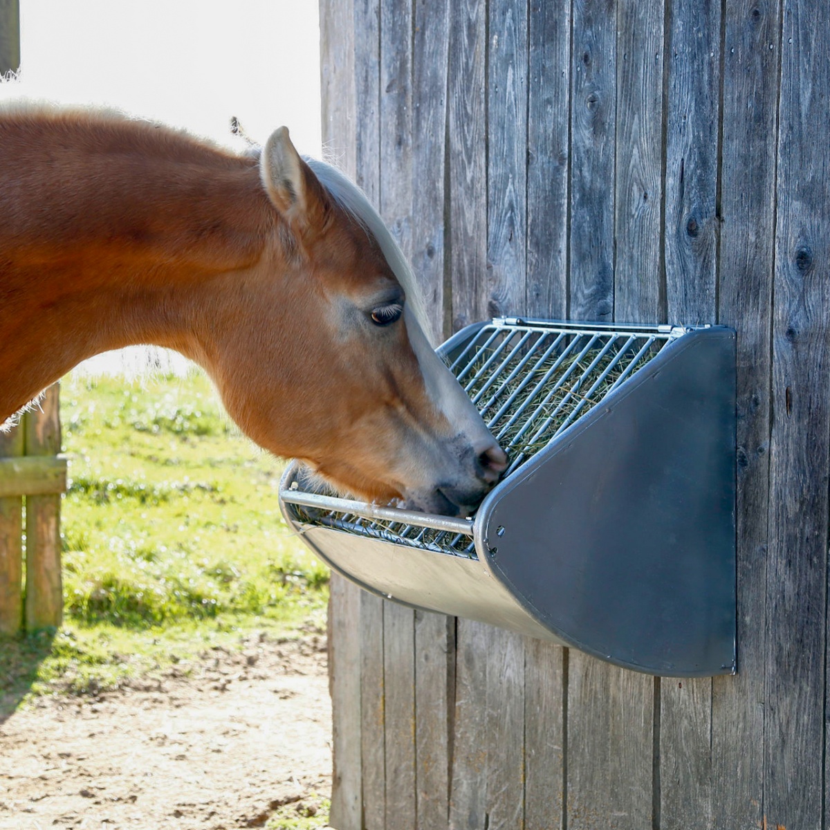 Iesle metalică pentru fân, montabilă pe perete, 60 × 53 cm