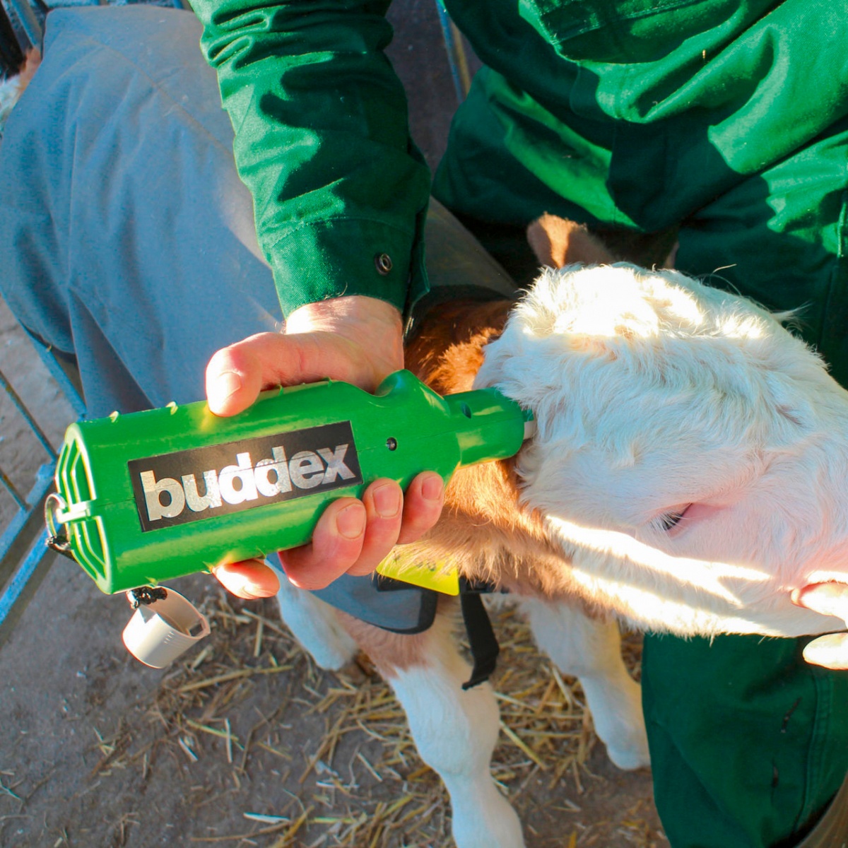 Ecornator pentru viței, cu acumulator, Buddex