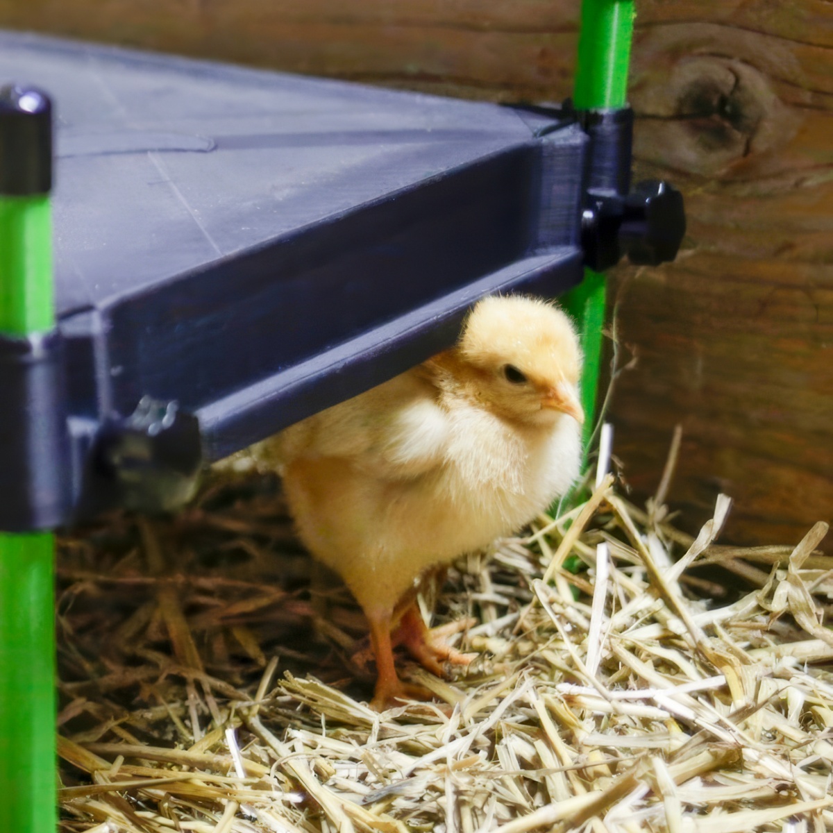 Placă de încălzire pentru pui, CosyHeat, 30 × 30 cm