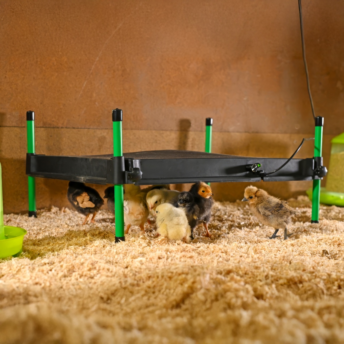 Placă de încălzire pentru pui, CosyHeat, 40 × 50 cm