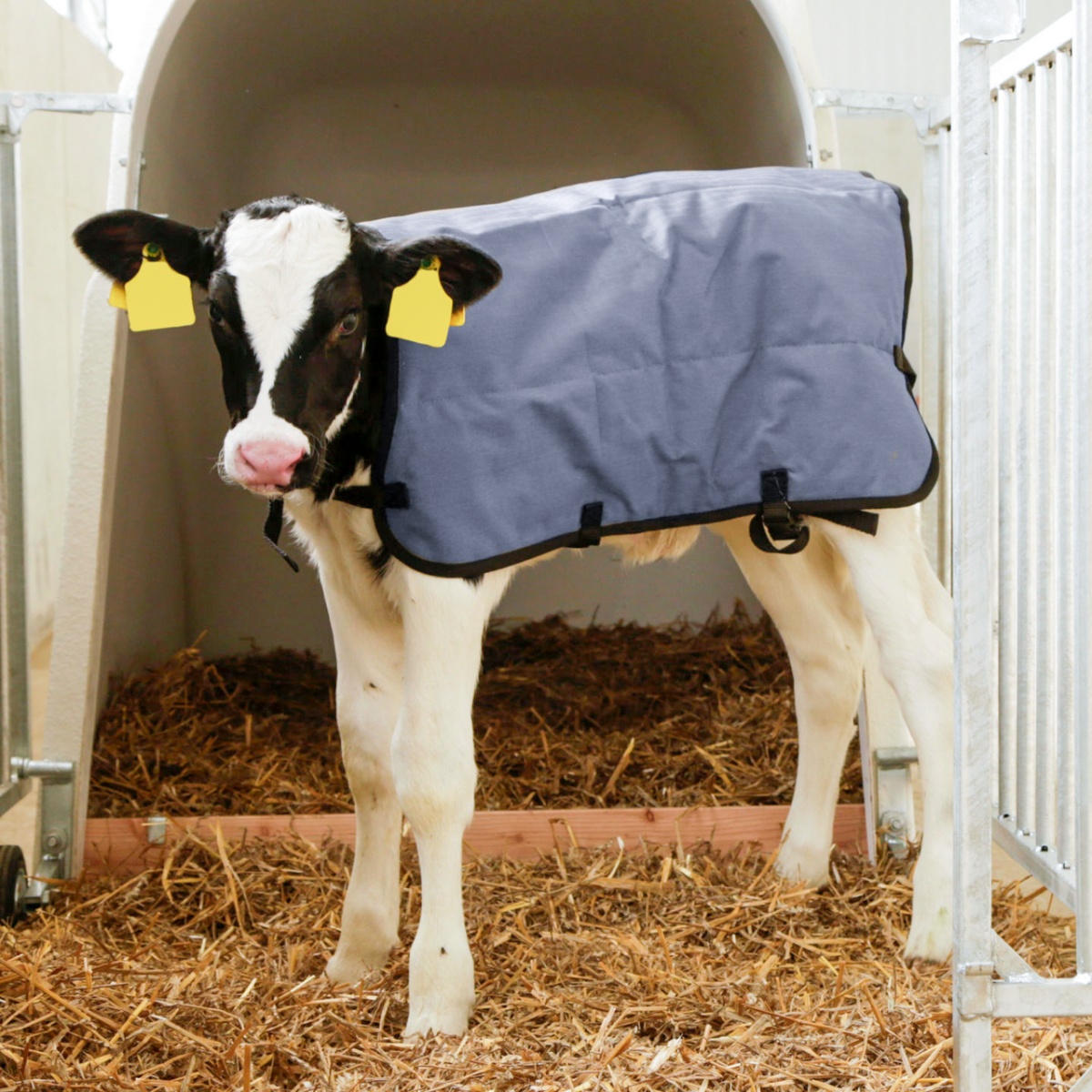 Pătură pentru viței, impermeabilă, gri, 80 × 70 cm