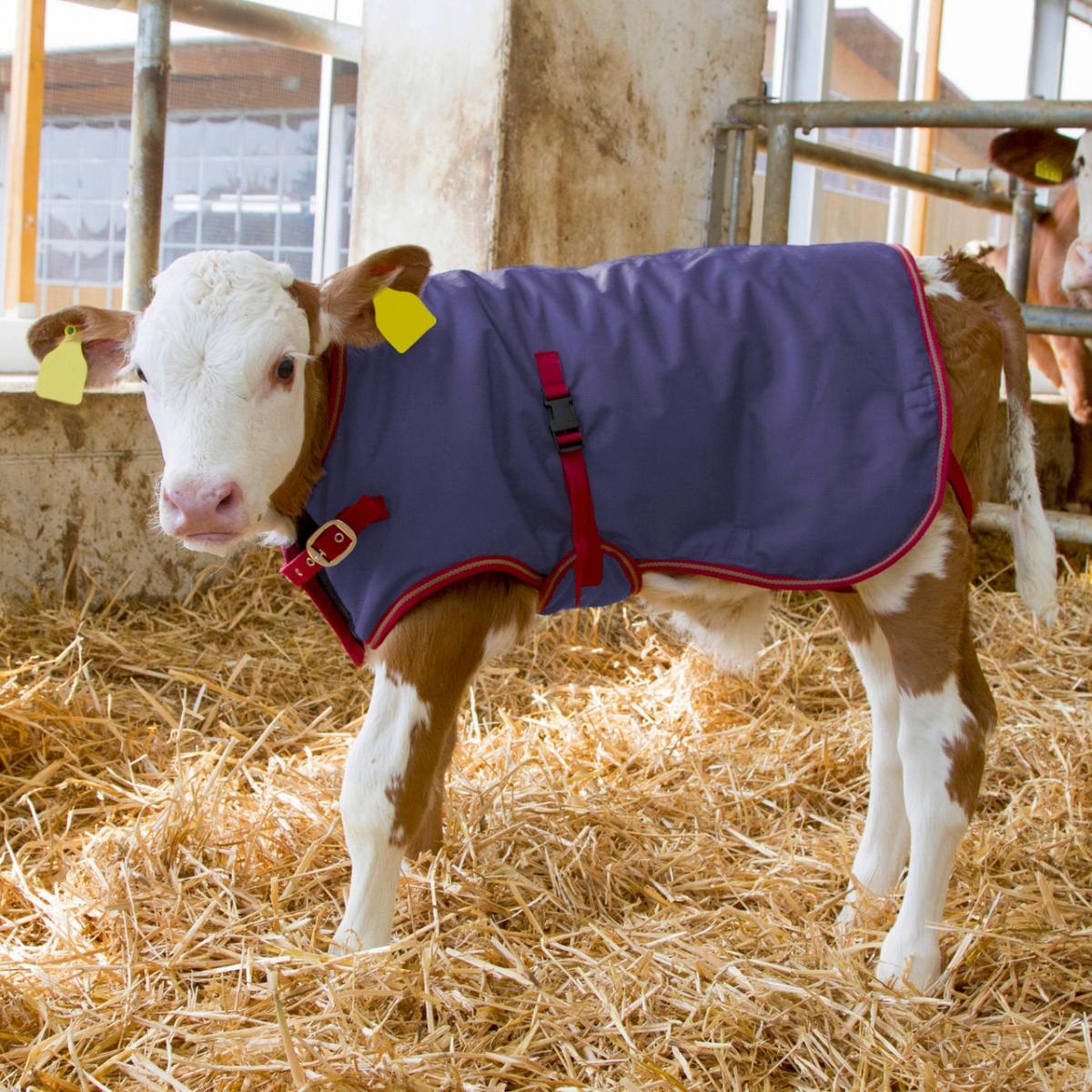 Pătură pentru viței, impermeabilă, ThermoPlus, albastru închis, 70 × 70 cm