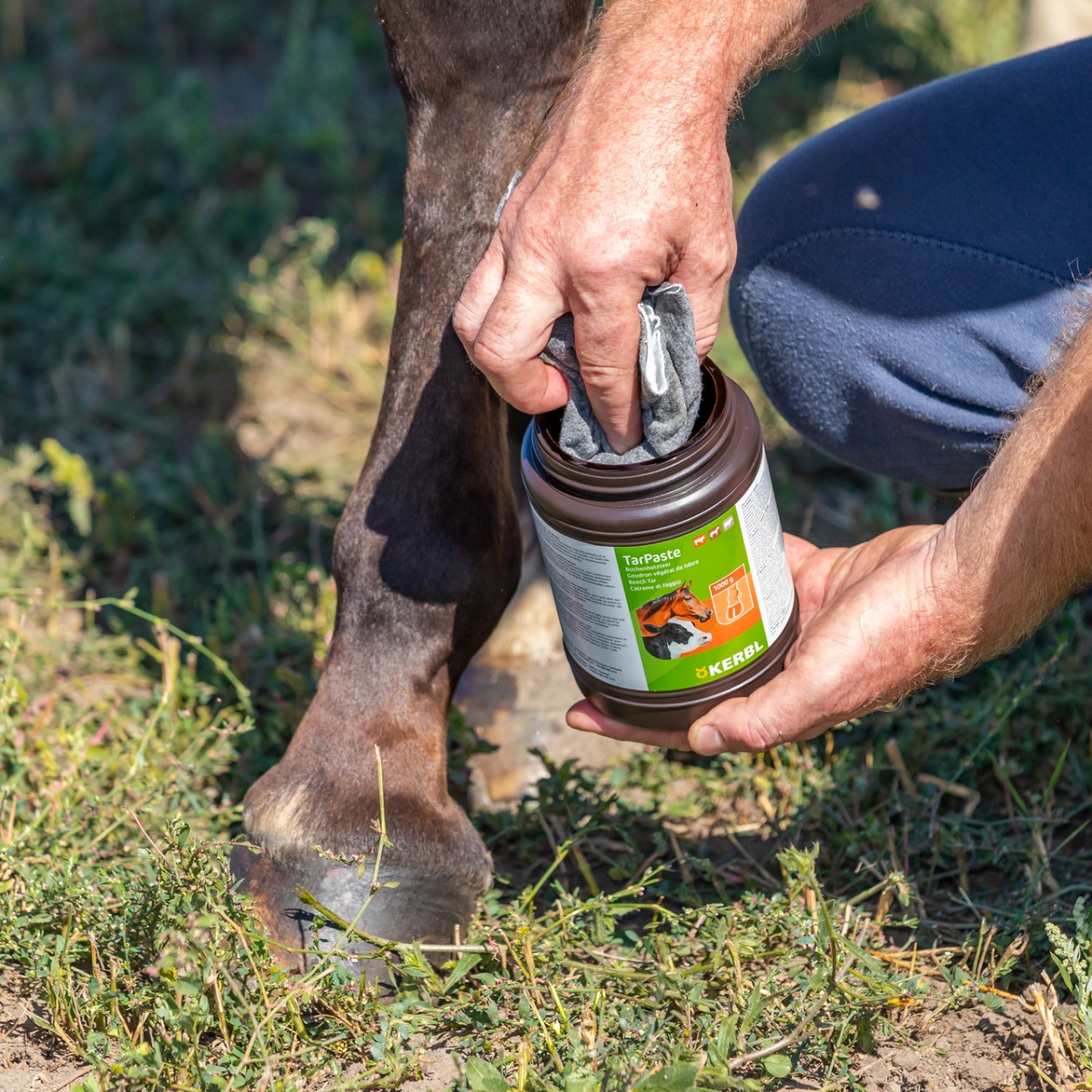 Pastă de gudron de fag, TarPaste, 1 kg